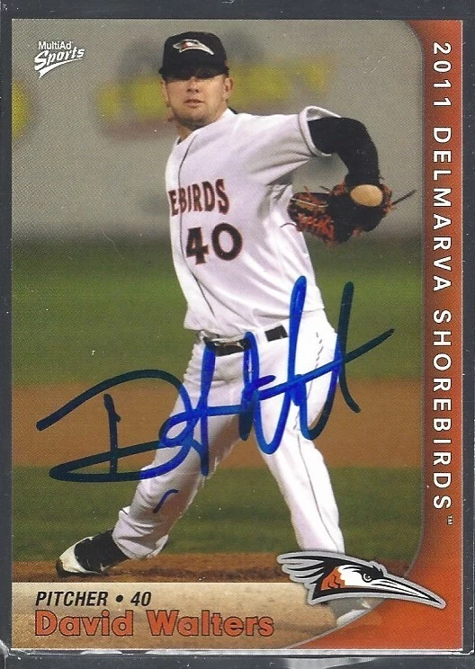 2011 MultiAd Sports Delmarva Shorebirds David Walters #25 IP auto signed card - Image 1 of 1