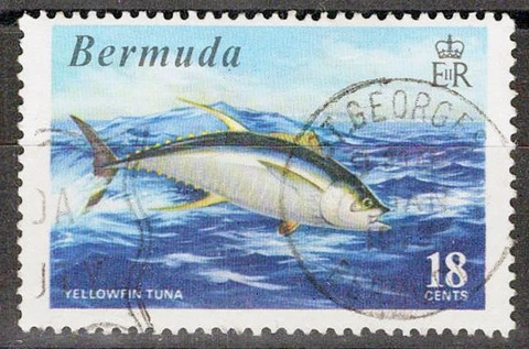 ZAYIX Bermuda 294 Used Yellowfin Tuna Game Fish Marine Life  072622S37M Cover