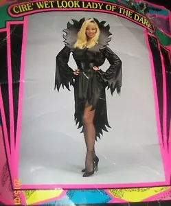Lady of the Dark Kostüm - Damen - Medium - schwarzes Kleid, Kragen, Gürtel - Bild 1 von 2