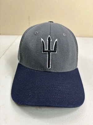 VINTAGE Arizona State Sun Devils Hat Fitted XL Gray ASU Zephyr NCAA College Y2K - Image 1 of 4
