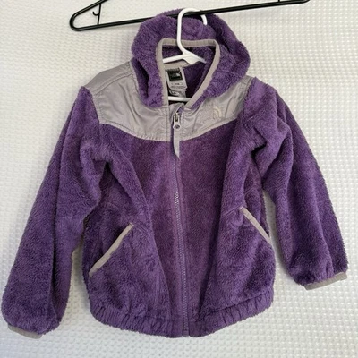 The North Face Jacket Girls 4t Purple Gray Full Zip Denali  Fleece - Image 1 of 4