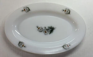 Lovely Vintage Arcopal Milk Glass Oval Platter, 14" - Picture 1 of 11