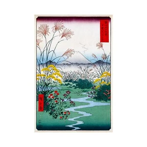 Hiroshige Ando, Otsuki Fields In Kai Province, Pearl Photo Paper, 38" x 57" - Picture 1 of 10