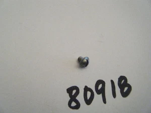 HOMELITE NEW XL500, XL660 REED VALVE RETAINER SCREW P/N 80918 - Picture 1 of 1