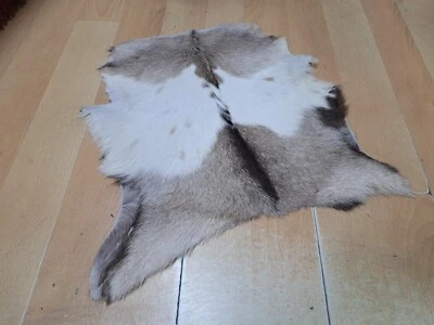 Excelente piel de cabra turca, decoración de animales, piel de cabra, regalo interior, 1,5 x 2 pies Foto 1 de 4