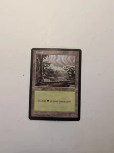 MTG: Forest - Tempest - Magic Card - Picture 1 of 1