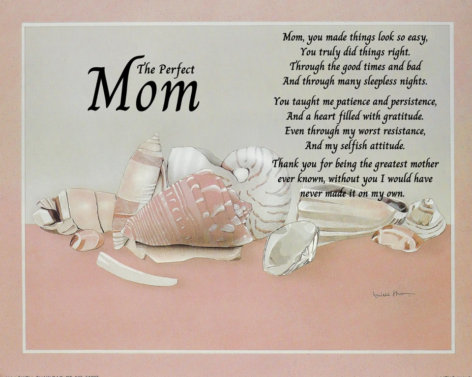 Never Framed 8 x 10 Wall Art Print and Decor Beautiful Seashell Poster - Image 1 of 1