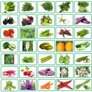 Semillas de vegetales indios TreegoArt orgánicas para todas las estaciones fáciles de cultivar 35 variedades - Imagen 1 de 2