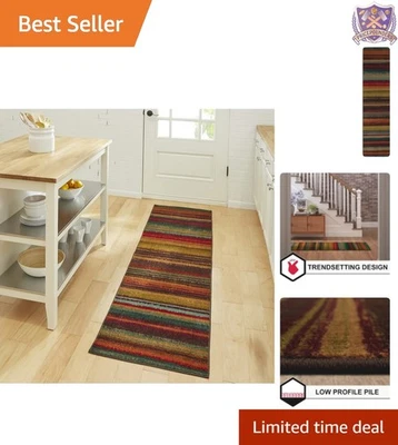 Alfombra Boho a Rayas 2x8 pies Multicolor Interior Exterior Estilo Resistente a las Manchas Foto 1 de 4