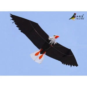 NEW High Quality 3D Eagle Kite single line stunt kite Outdoor fun Sports Tools - Picture 1 of 7