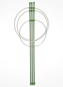 Iron Trellis Garden Flowers NEW Plant Support Indoor Plants - Picture 1 of 4