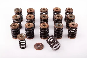 K20/24A/Z 1,3  F20/22C   dual valve springs set with retainers - NJ Performance - Picture 1 of 1