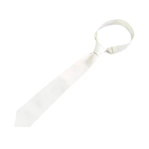 Blank Necktie for Adult Birthday Gift Elegant Do It Yourself Necktie - Picture 1 of 8