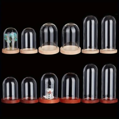 1Box 12Sets Glass Display Cloche Dome 3 Size Mini Cloche Bell Jar with Wood - Image 1 of 4