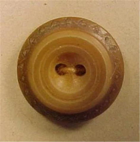 24 Antique Buttons Vegetable Ivory on Card Paris Boutons d"Ivoire 1870s 1880s Cover