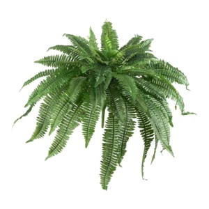 48 In. Artificial Boston Fern (Set of 2) - Picture 1 of 12