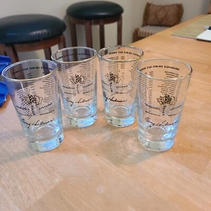 Indianapolis Speedway 500 Meilen Rennen Sieger Brille 4er Set - Bild 1 von 5