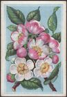 Playing Cards 1 Single Card Old Antique Wide Square Corner APPLE BLOSSOM Flowers