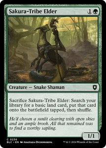 Sakura-Tribe Elder #236 | Near Mint | BLC Bloomburrow Commander Magic MTG - Picture 1 of 1