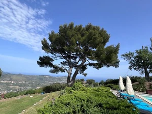 Luxus Ferienvilla mit Pool, Whirlpool, Sauna, Fitness italienische Riviera - Bild 1 von 24