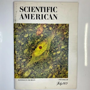 Vintage Magazine July 1971 Pathways in Brain Diode Lasers Supernova Remnants - Picture 1 of 2