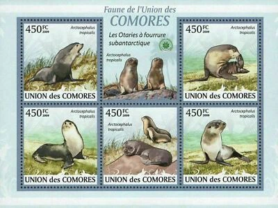 Sellos de piel subantárticos sello fauna Sov. Hoja de 5 estampillas MNH Foto 1 de 2