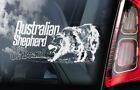 Australian Shepherd Autoaufkleber, Aussie Hund Fenster Aufkleber Schild Haustier Geschenk - V05