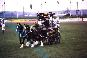 Coalite Coal Horse Drawn Dray At country Show 1980's White 35mm slide  - Picture 1 of 2
