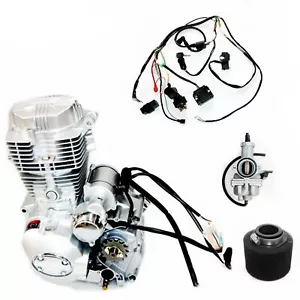 Shineray 250cc Manual Clutch Engine Motor + Wiring Kit + Carb Quad Dirt Bike ATV - Bild 1 von 12