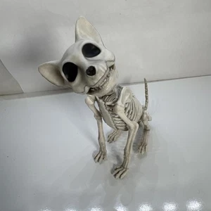 Cat Skeleton Halloween Decoration Sitting Cat - Picture 1 of 13