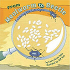 From Mealworm To Beetle : Following The Life Cycle Hardcover Laur