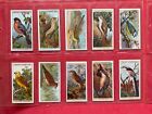 ‘BRITISH BIRDS’ 1917 ORNITHOLOGY FULL ANTIQUE SET 50 WILLS CIGARETTE CARDS