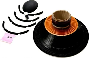 Altavoces B&C RCK21IPAL 21 IPAL Kit de Servicio de Controlador de Baja Frecuencia Reparación Pro... - Imagen 1 de 3