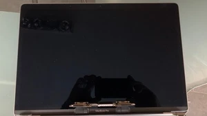 Apple Screen Assembly with defect backlight for Macbook Pro 15" EMC 3359 (A1990) - Afbeelding 1 van 15