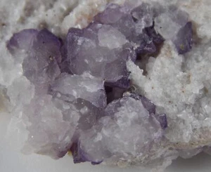 PURPLE FLUORITE CRYSTALS - 6 cm - TOMBSTONE, ARIZONA 29064 - Picture 1 of 7
