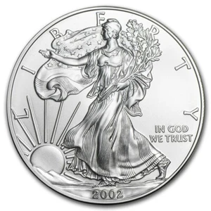 2002 ASE $ 1 Dollar American Eagle 1 oz .999 Silver Coin - Picture 1 of 2
