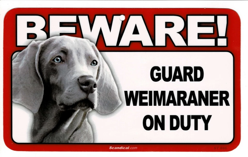 CUIDADO CON EL LETRERO RECTANGULAR LAMINADO PERRO/MASCOTA WEIMARANER. ENVÍO COMBINADO. Foto 1 de 1