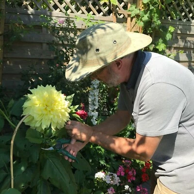 Sombrero de lona 3 tamaños grandes para elegir - Agarra una ganga - Segundos sombrero de jardinería verde Foto 1 de 4