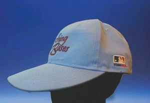 MiLB OC Sports Adjustable Adult Fit Hat Cap ~ "Touching Bases" Light Blue OSFM - Picture 1 of 8