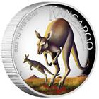 Silbermünze Känguru 2022 - Australien - High Relief - 1 Oz PP in Farbe