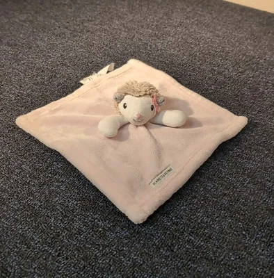 Mantas & Beyond Erizo Rosa y Blanco 11" Bebé Lovey Manta de Seguridad Peluche Foto 1 de 4