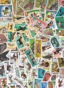 Y1012A - Collection 100 diff. stamps - Paarden / Horses / Pferde - Imagen 1 de 1