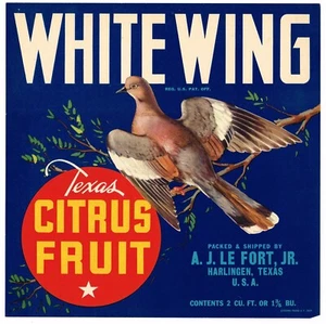 ORIGINAL KISTENETIKETT VINTAGE HARLINGEN TEXAS 1947 AKTE SELTEN WEISSE FLÜGEL TAUBE VOGEL - Bild 1 von 1