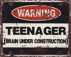 Moritz Blechschild Warning Teenager Brain 20 x 25 cm Retro Vintage Tin sign - Bild 1 von 3