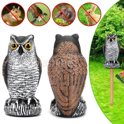 Estatua señuelo búho vivo proteger jardín patio repelente de plagas aves espantapájaros exterior Foto 1 de 4