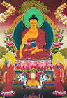 FULLY BROCADED 32" TIBET SILK THANGKA TAPESTRY SCROLL : THE GREEN AURA BUDDHA 
