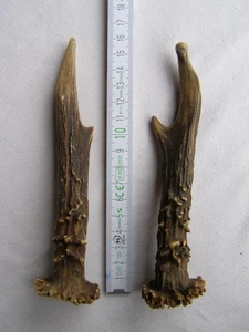 Geweihstangen Paar Rehbock. Länge 15/16cm. 112Gramm. - Bild 1 von 2