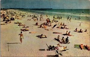 Sun and Surf Bathing Attracts Many to the Florida Beaches Vintage Postcard - Picture 1 of 2