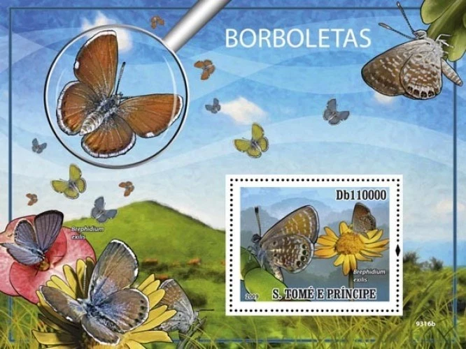 Worlds smallest Butterflies Sao Tome & Principe 2009 s/s Sc. 2131 MNH #ST9316b - Image 1 of 1