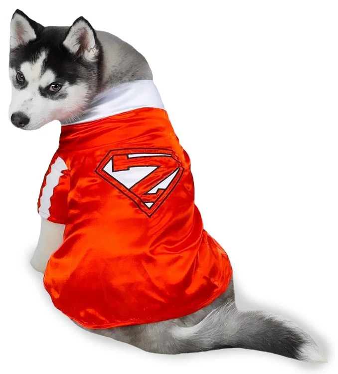 Casual Canine Mighty Mutt Pet Costume - MEDIUM - Image 1 of 1